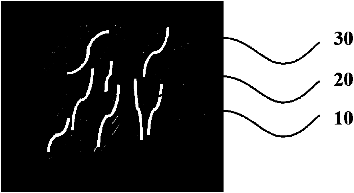 Boron nitride/epoxy resin composite material and preparation method thereof