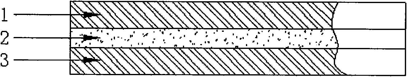 Novel low-carbon veneer and manufacture method thereof