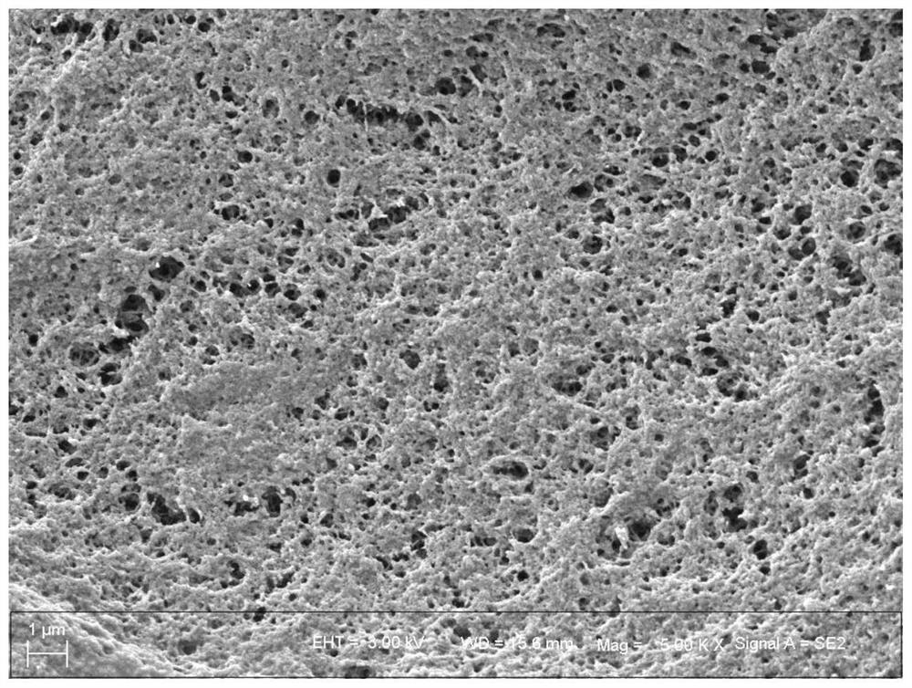 Preparation method of antibacterial gel with polyethyleneimine as gel matrix