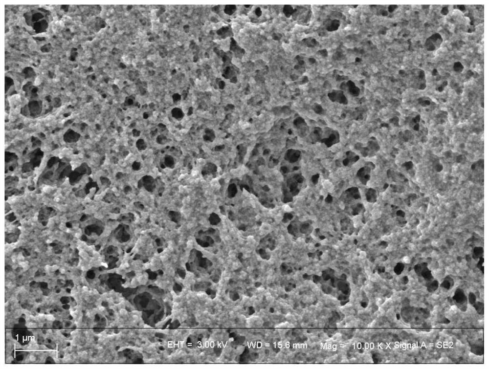 Preparation method of antibacterial gel with polyethyleneimine as gel matrix