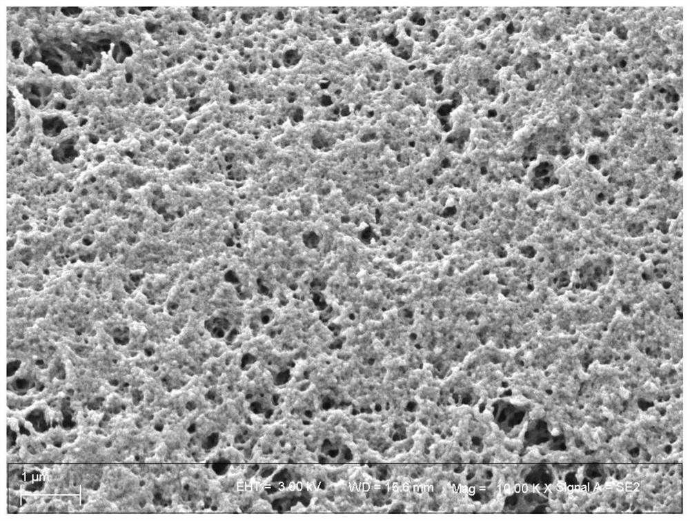 Preparation method of antibacterial gel with polyethyleneimine as gel matrix