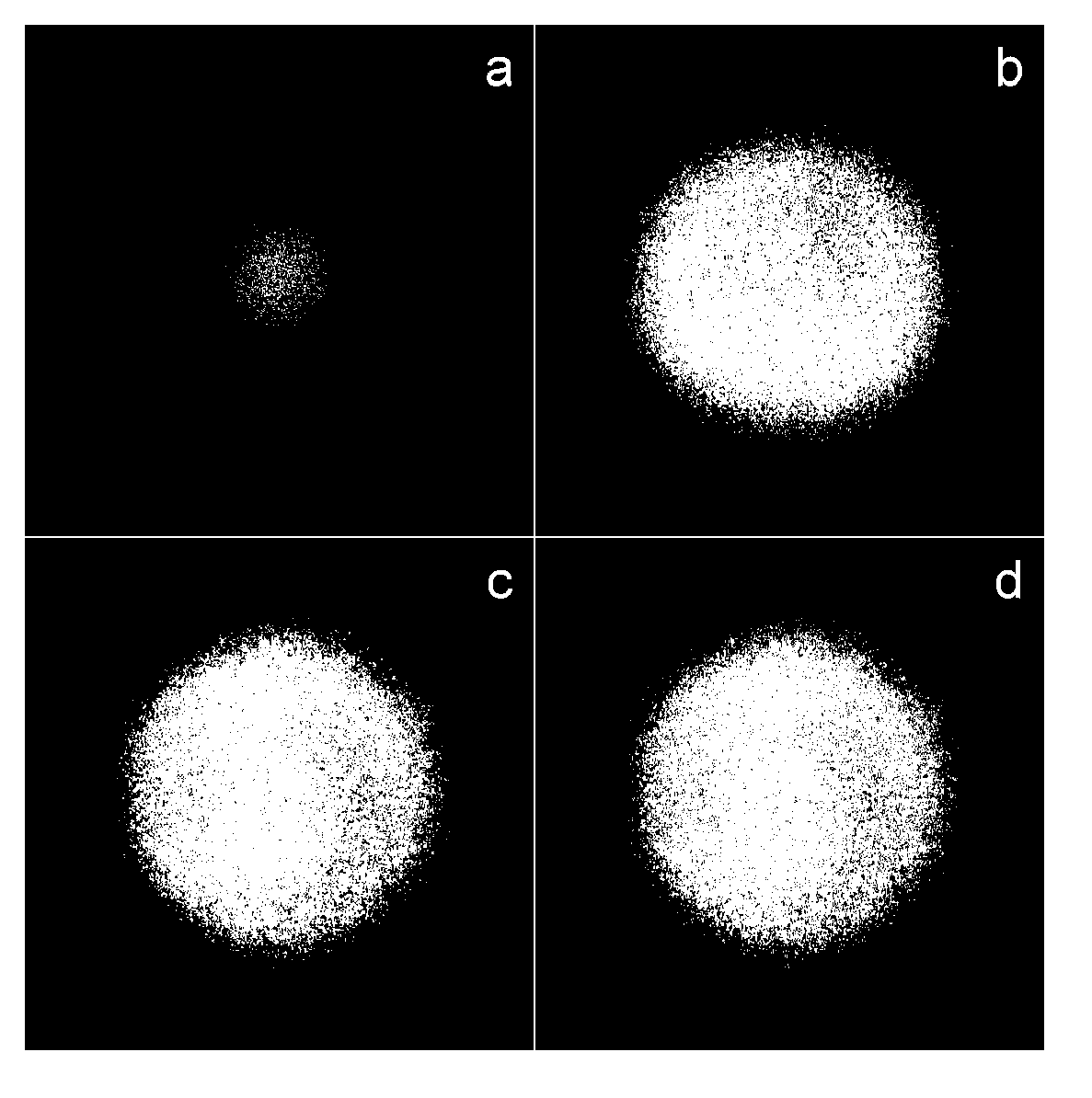 Method for preparing quasi-periodic micro-lens arrays through femtosecond laser wet etching