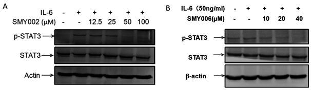 A kind of preparation method and application of naphthylamine compound and its salt