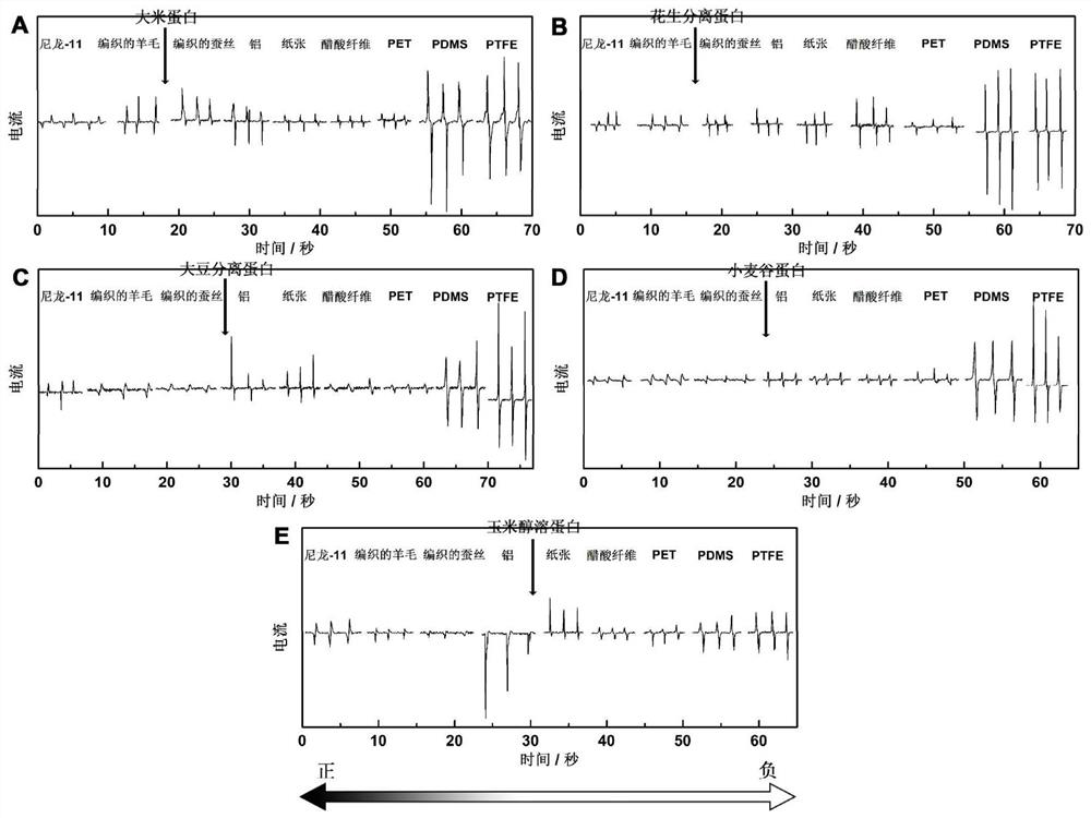 A kind of triboelectric generator based on plant protein and preparation method thereof