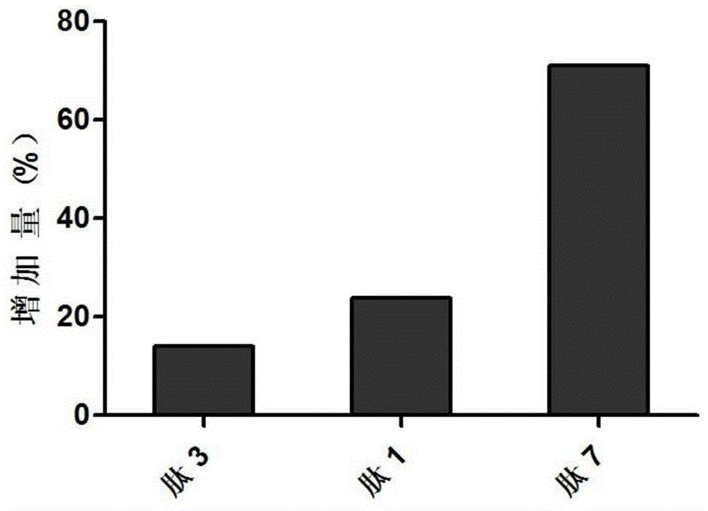 Polypeptide, polypeptide derivative, medicinal salt of polypeptide and pharmaceutical composition