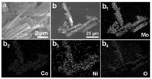 Binary metal phosphide controlled by molybdenum trioxide (tungsten), preparation method and application