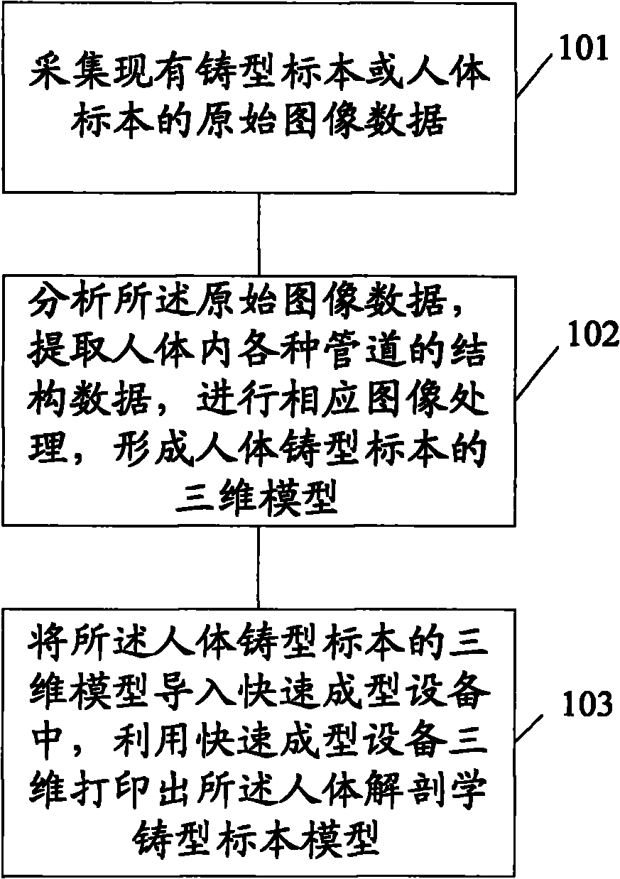 Method for manufacturing anthropotomy cast specimen model