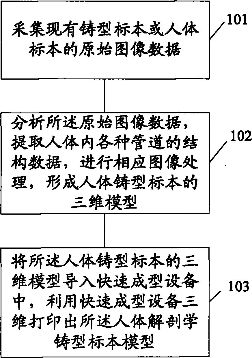 Method for manufacturing anthropotomy cast specimen model