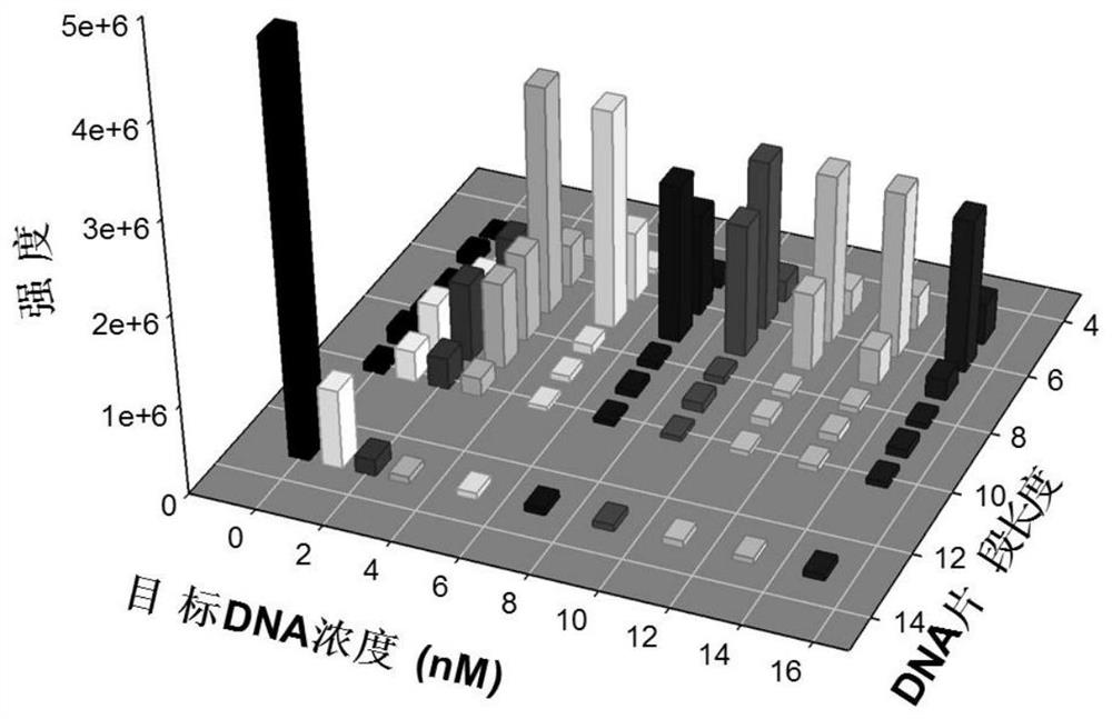 A method for quantitative analysis of label-free DNA mass spectrometry based on exonuclease III-assisted target cyclic amplification