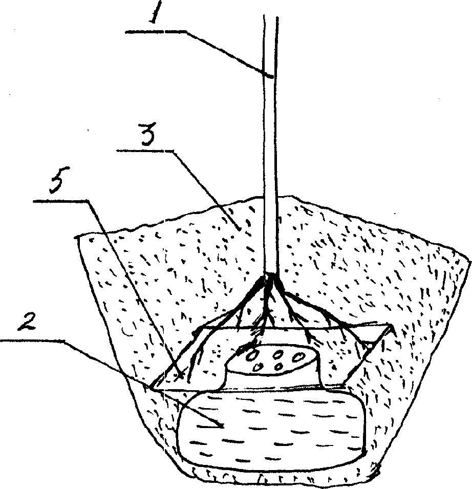 Method for increasing tree-planting survival rate in dryland