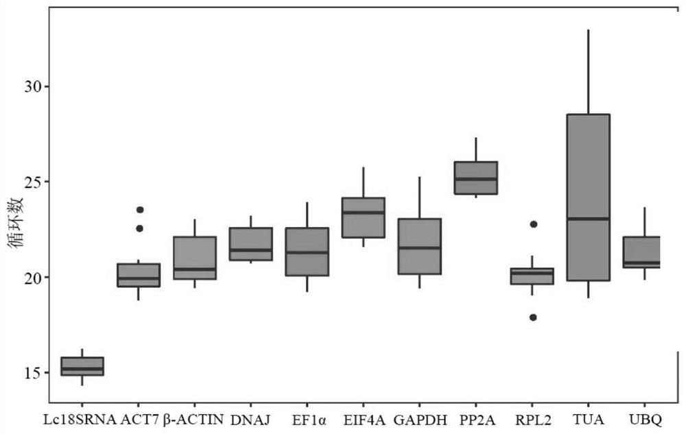 Reference genes of towel gourd, and primers and application thereof