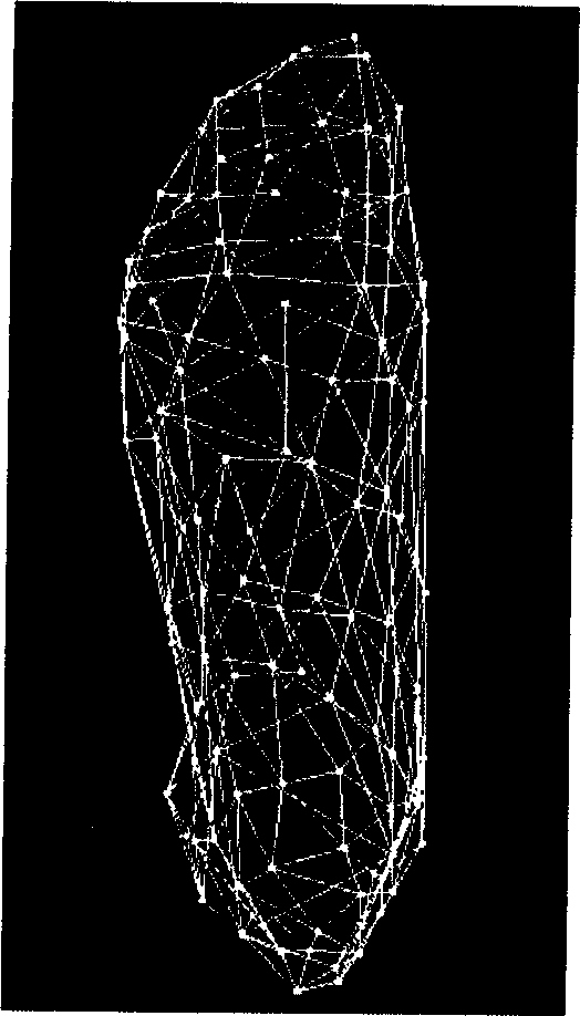 Three-dimensional feet data measuring method to sparse grid based on curve subdivision