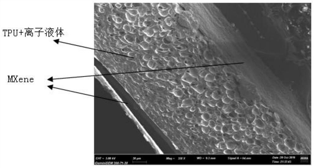 Ion sensor based on MXene electrodes and preparation method of ion sensor