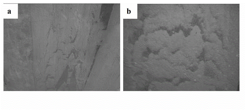 Type II polymer cement waterproof coating and preparation method thereof