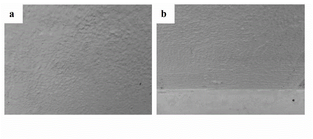 Type II polymer cement waterproof coating and preparation method thereof