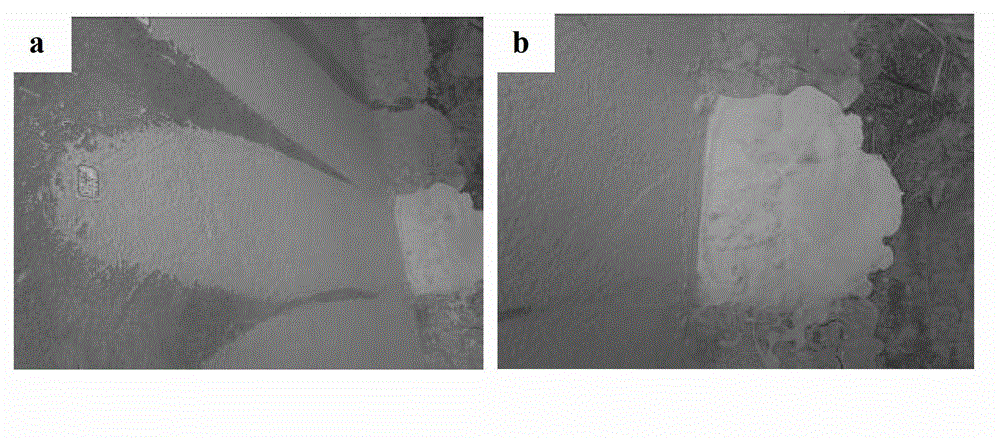 Type II polymer cement waterproof coating and preparation method thereof