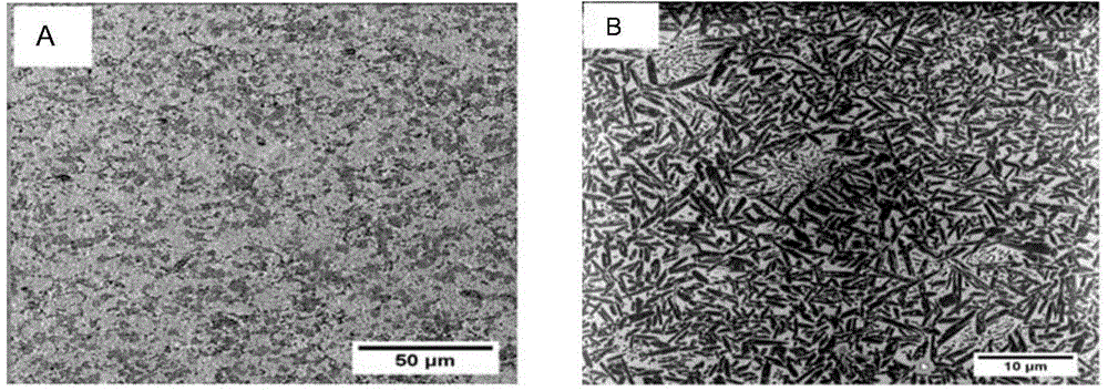 Preparation method for dental lithium silicate microcrystalline glass