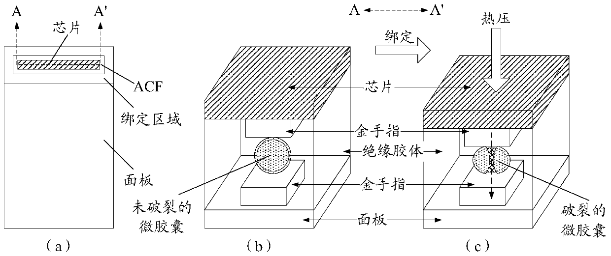 Anisotropic conductive tape, tape roll, binding structure and display device