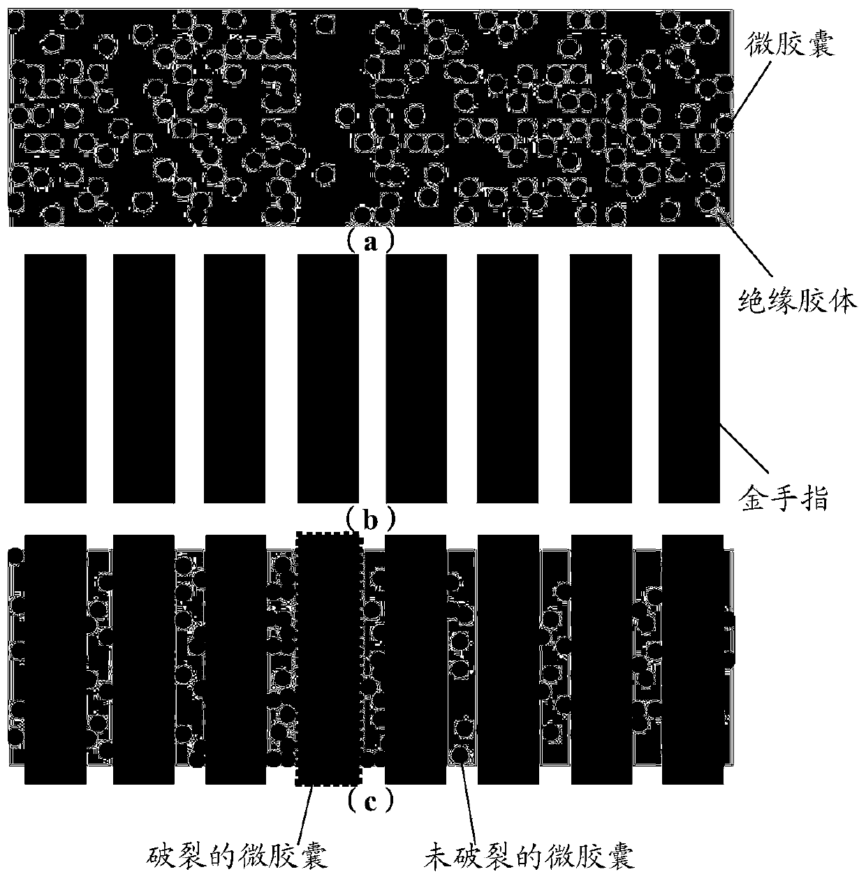 Anisotropic conductive tape, tape roll, binding structure and display device