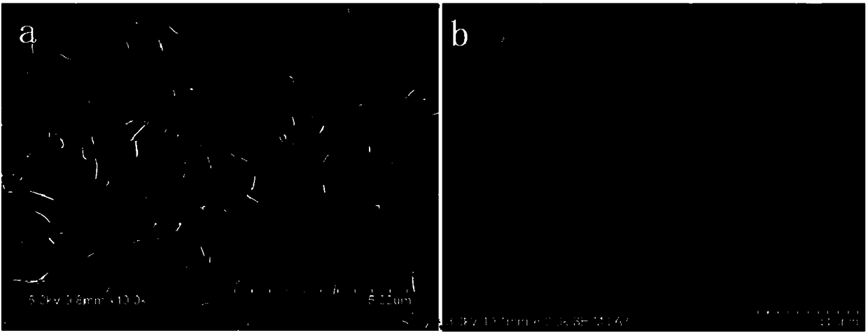 High-throughput composite filter membrane based on inner hole property of carbon nanotubes and preparation method