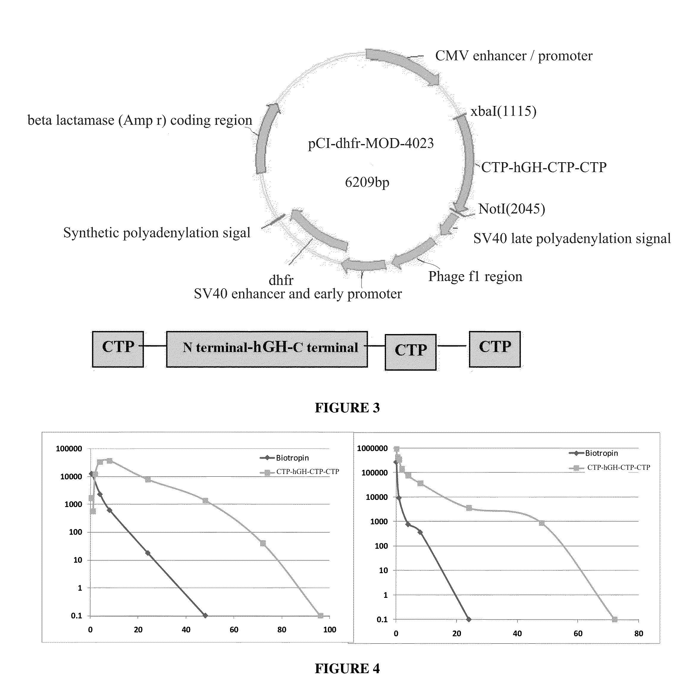 Long-acting polypeptides and methods of producing and administering same