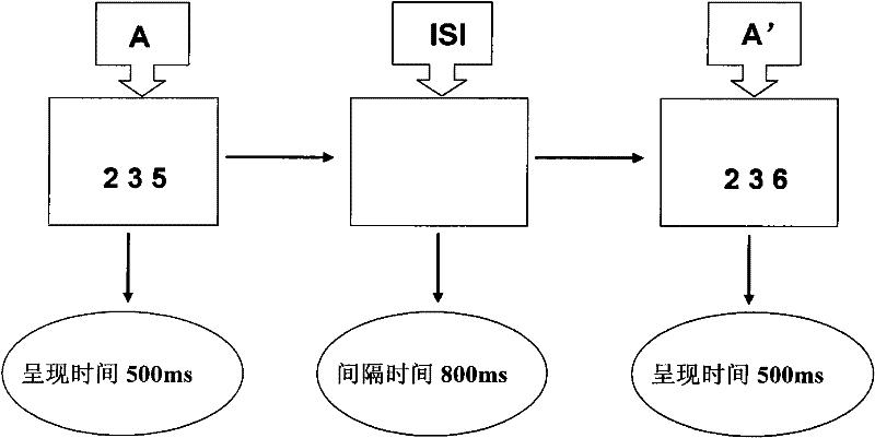 Vision and touch tester and visual and tactual sensitivity testing method