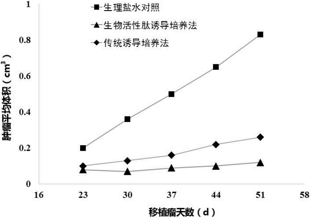 Biologically active peptide and method for proliferating CIK cell in vitro