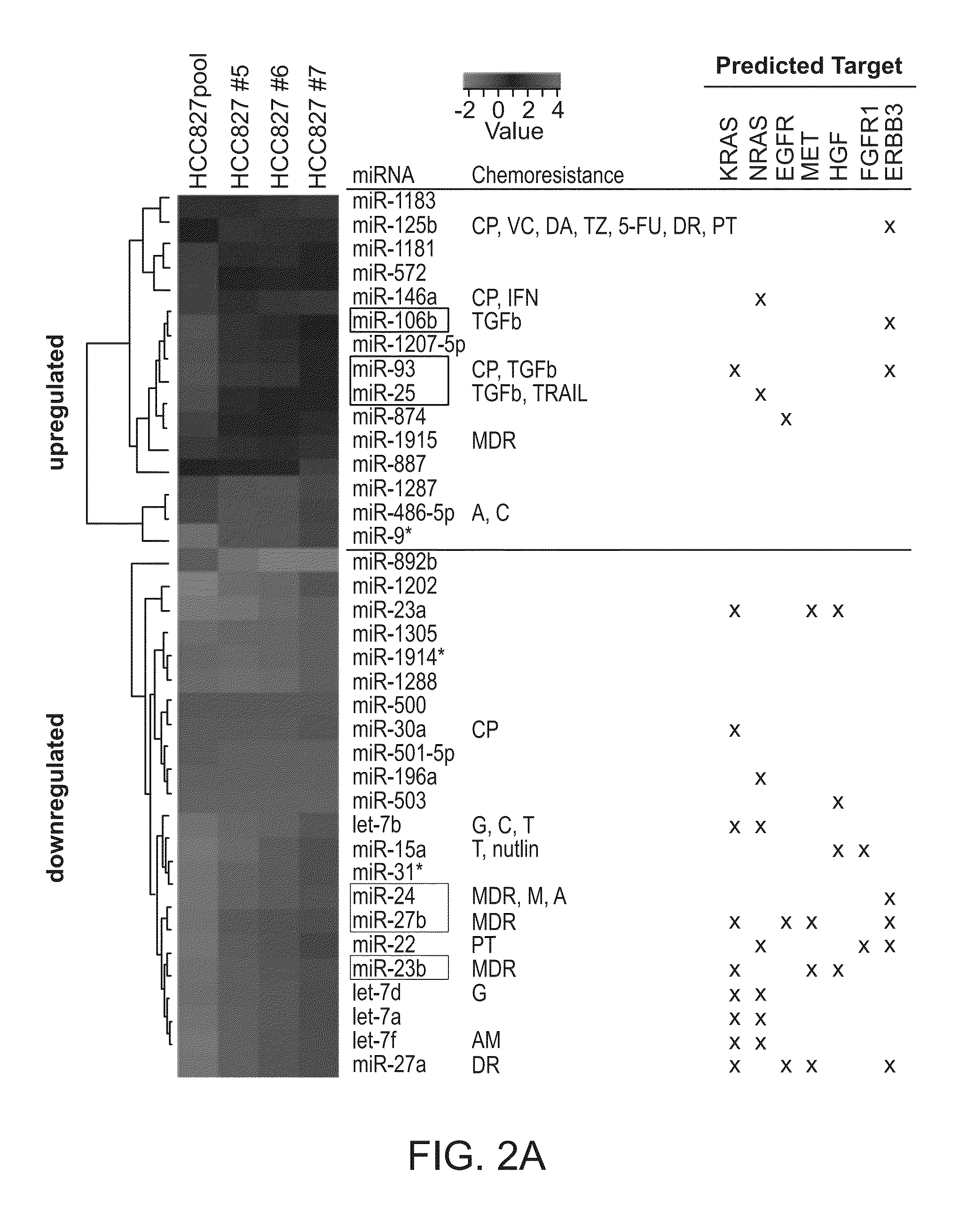 Combination cancer treatments utilizing micrornas and egfr-tki inhibitors