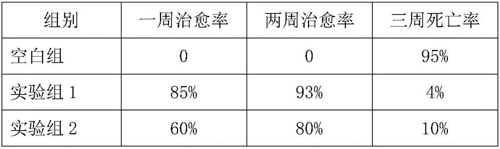 Viral disease preventing and curing feed additive for cyprinus carpio and preparation method thereof