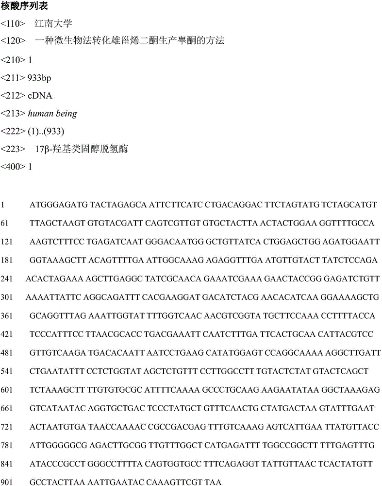 Method using microorganism method to convert androstenedione so as to produce testosterone