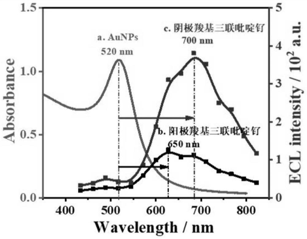 Carboxyl ligand induced annihilation type ratio electrochemiluminescence aptamer sensing method for detecting Pb &lt; 2 + &gt;