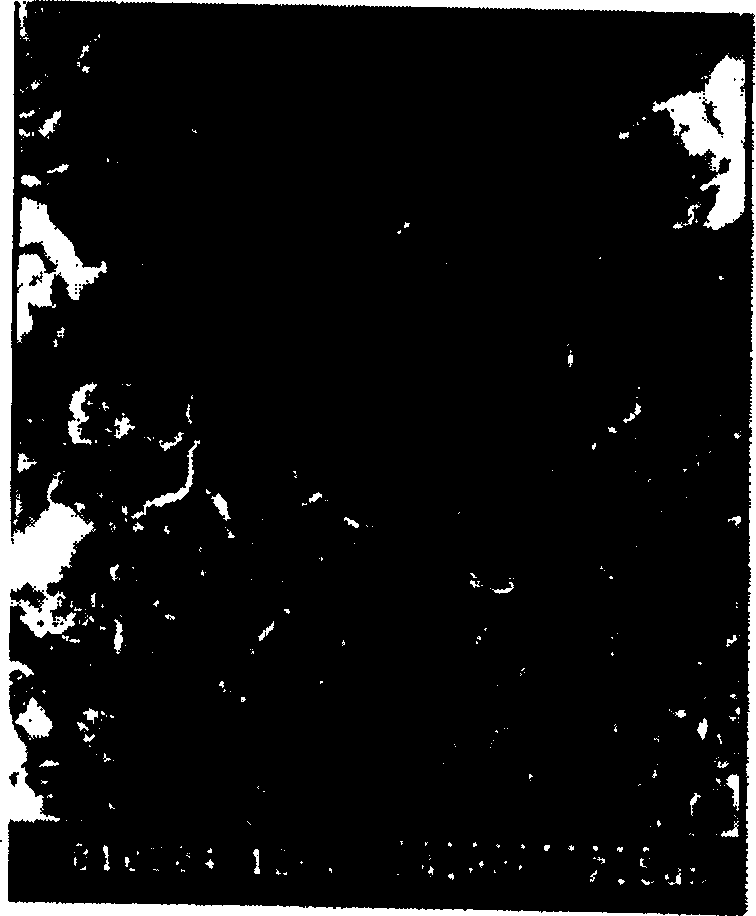 Process for decolouring by co-metabolism of immobilized bionts