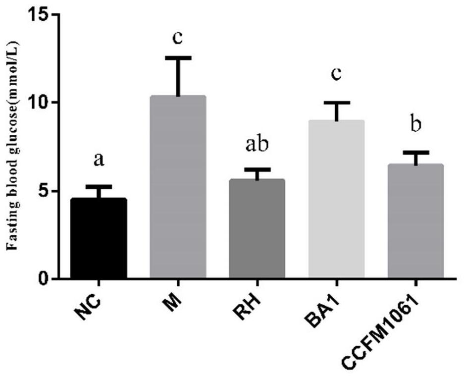 Application of Bifidobacterium adolescentis ccfm1061 in the preparation of functional bacteria, food and or medicine