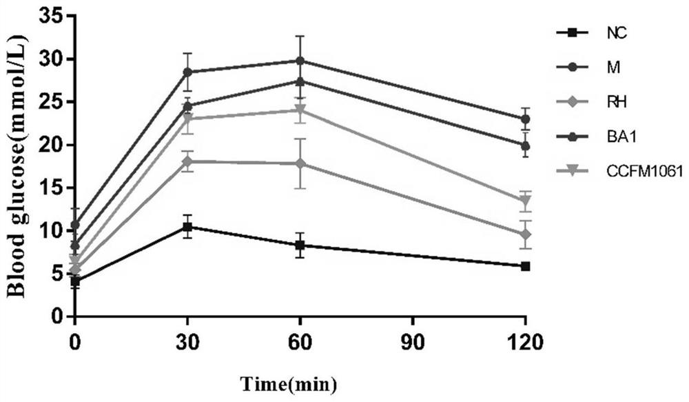 Application of Bifidobacterium adolescentis ccfm1061 in the preparation of functional bacteria, food and or medicine