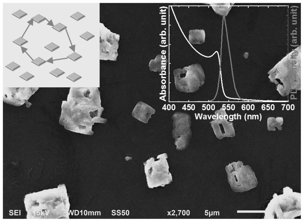 Perovskite thin film packaging method for water environment and application of perovskite thin film packaging method