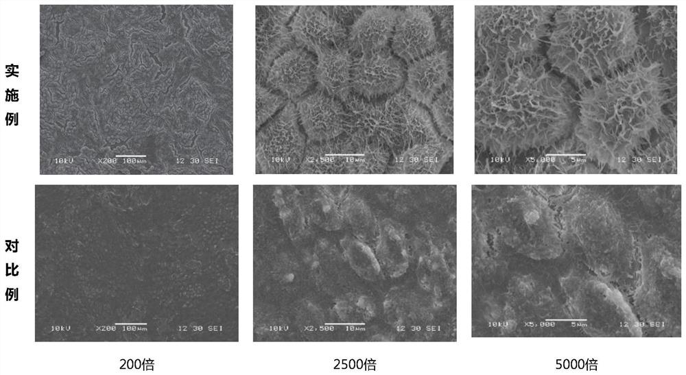 A kind of rpe cell sheet and its application and preparation method