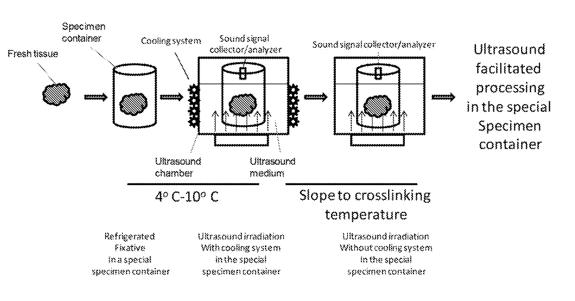 Standardization of tissue specimen preservation by ultrasound and temperature control