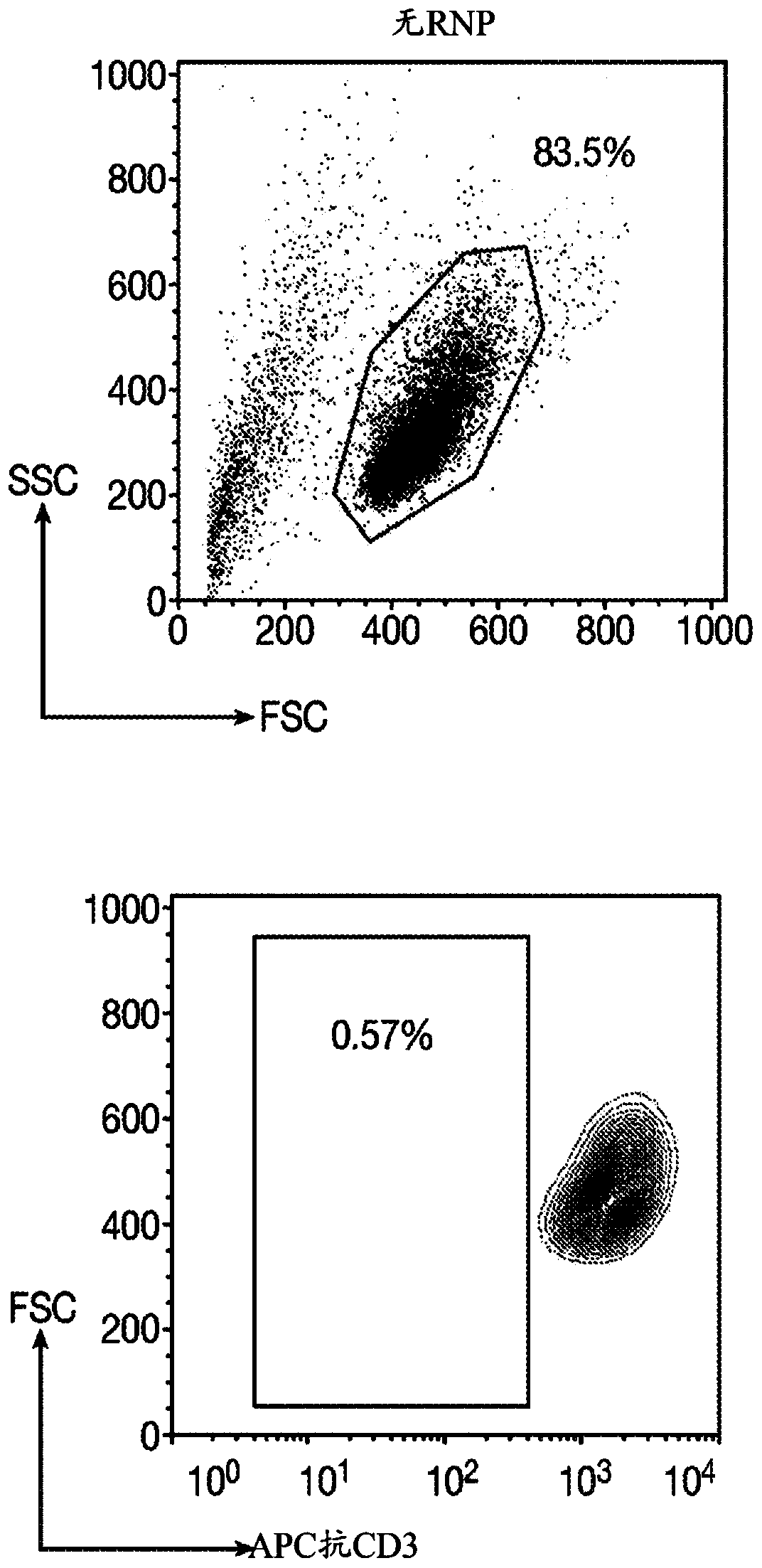 Immortalized car-t cells genetically modified to eliminate t-cell receptor and beta2-microglobulin expression