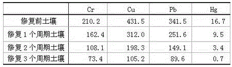 Remediation method for heavy metal contaminated soil