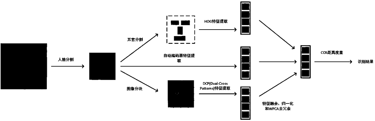 Multi-model multi-channel face identification method and system