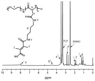 Cell-nucleus-targeted antitumor nanomedicine carrier and preparation method and application thereof