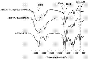 Cell-nucleus-targeted antitumor nanomedicine carrier and preparation method and application thereof