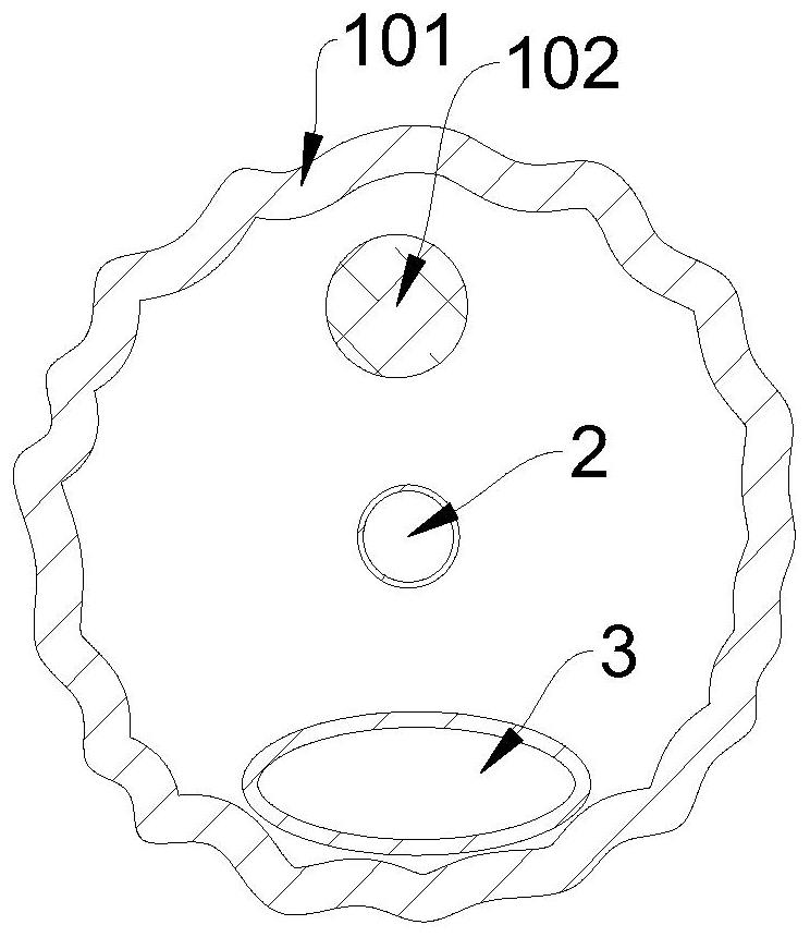 Vaginal irrigation device and method