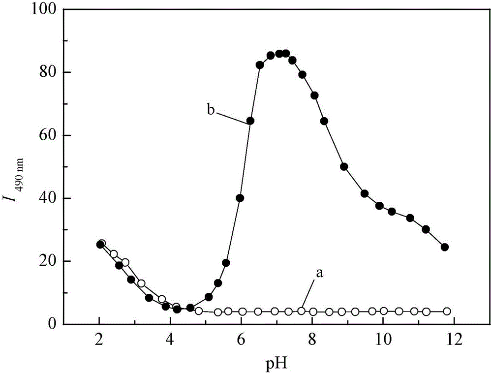 Oxalyl aminoquinoline derivative fluorescent molecular probe and preparation method and application thereof