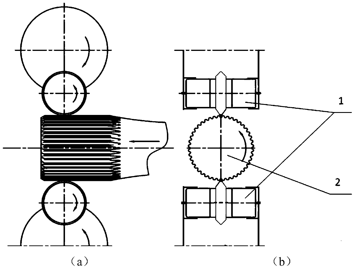 External spline cold beating tool