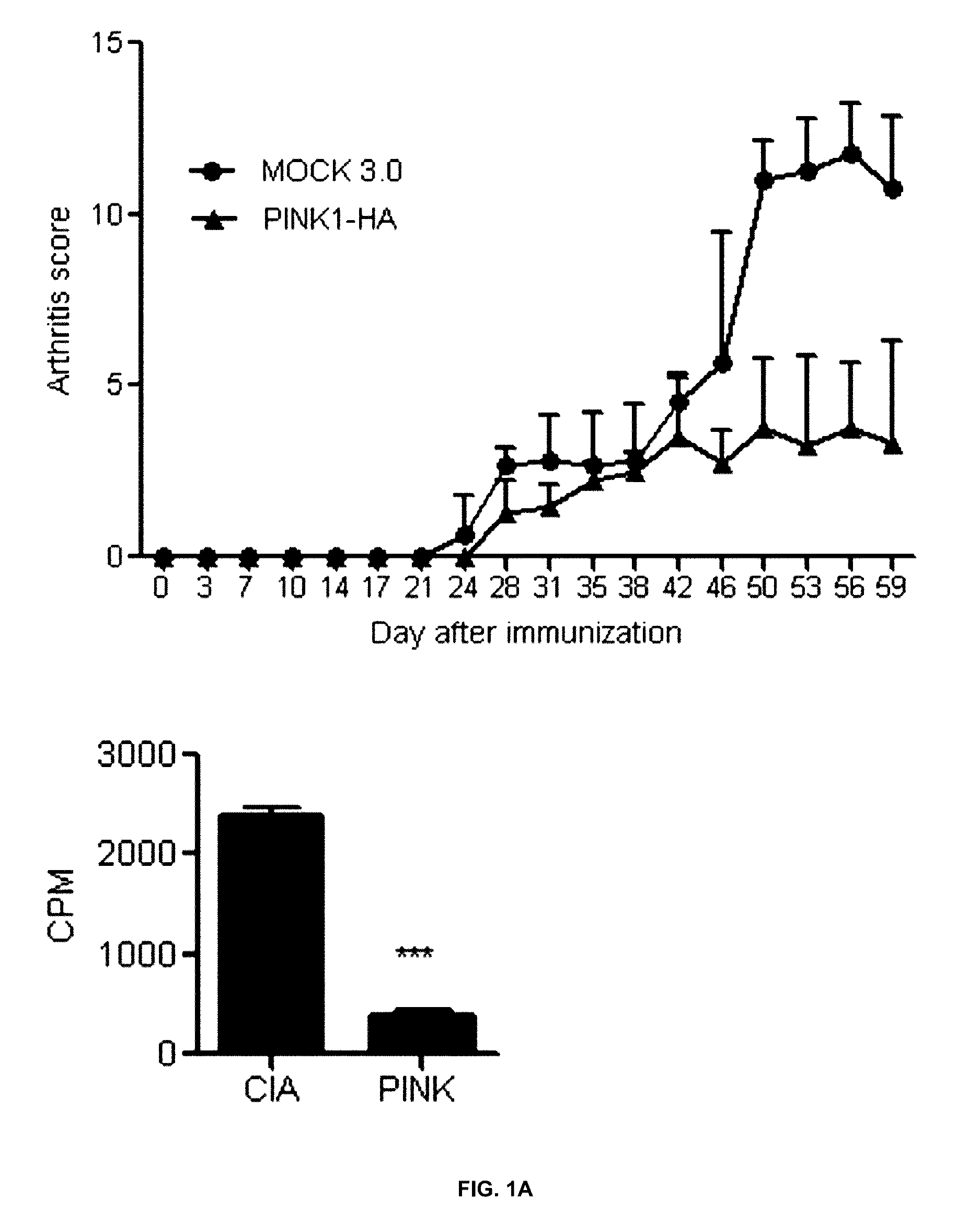 Composition for preventing or treating autoimmune disease, comprising, as active ingredient, PINK1 protein or polynucleotide encoding same