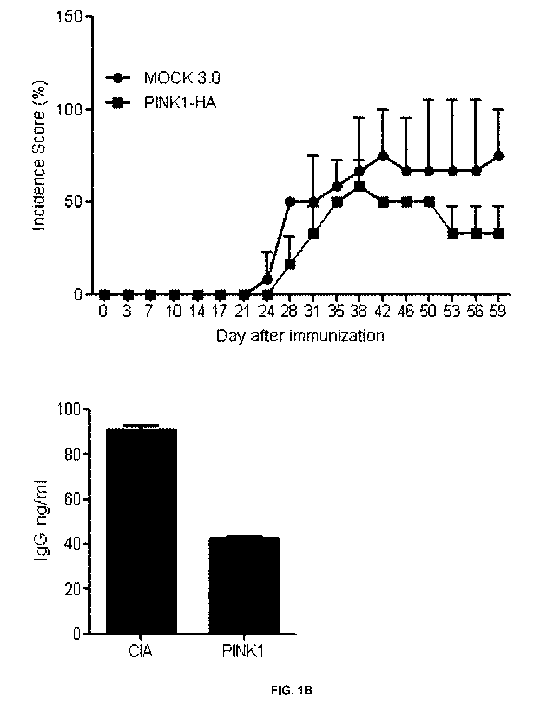 Composition for preventing or treating autoimmune disease, comprising, as active ingredient, PINK1 protein or polynucleotide encoding same