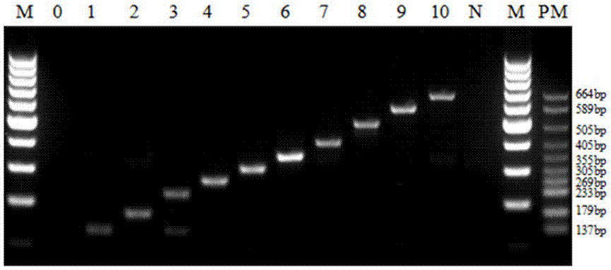 Multiple PCR kit for detecting transgenic soybeans and detection method