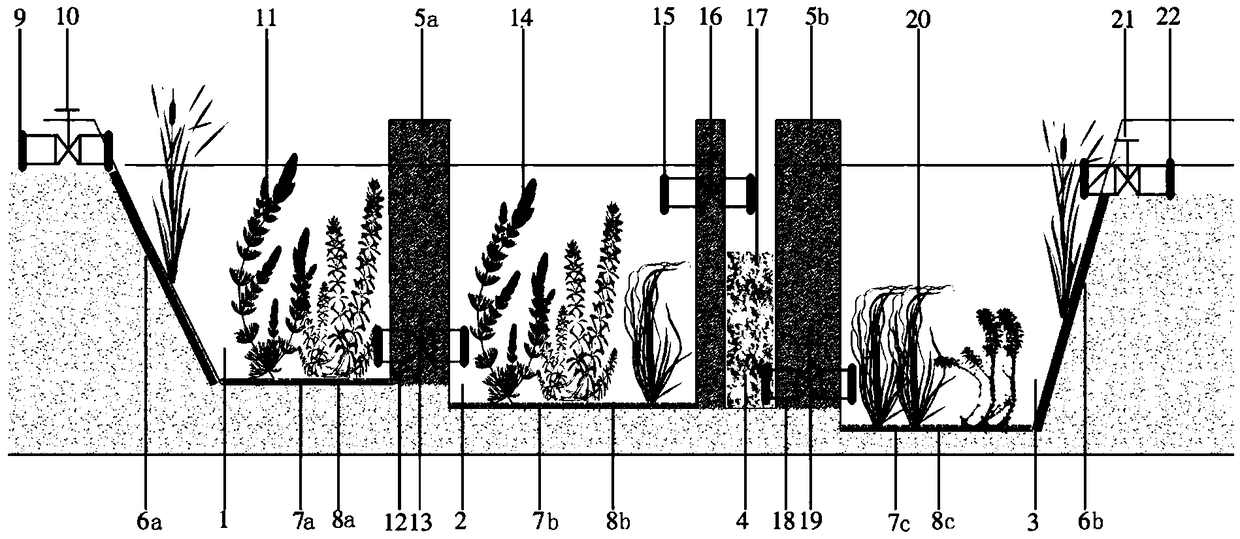 A method and device for purifying ecological ponds of heavy metal polluted irrigation water