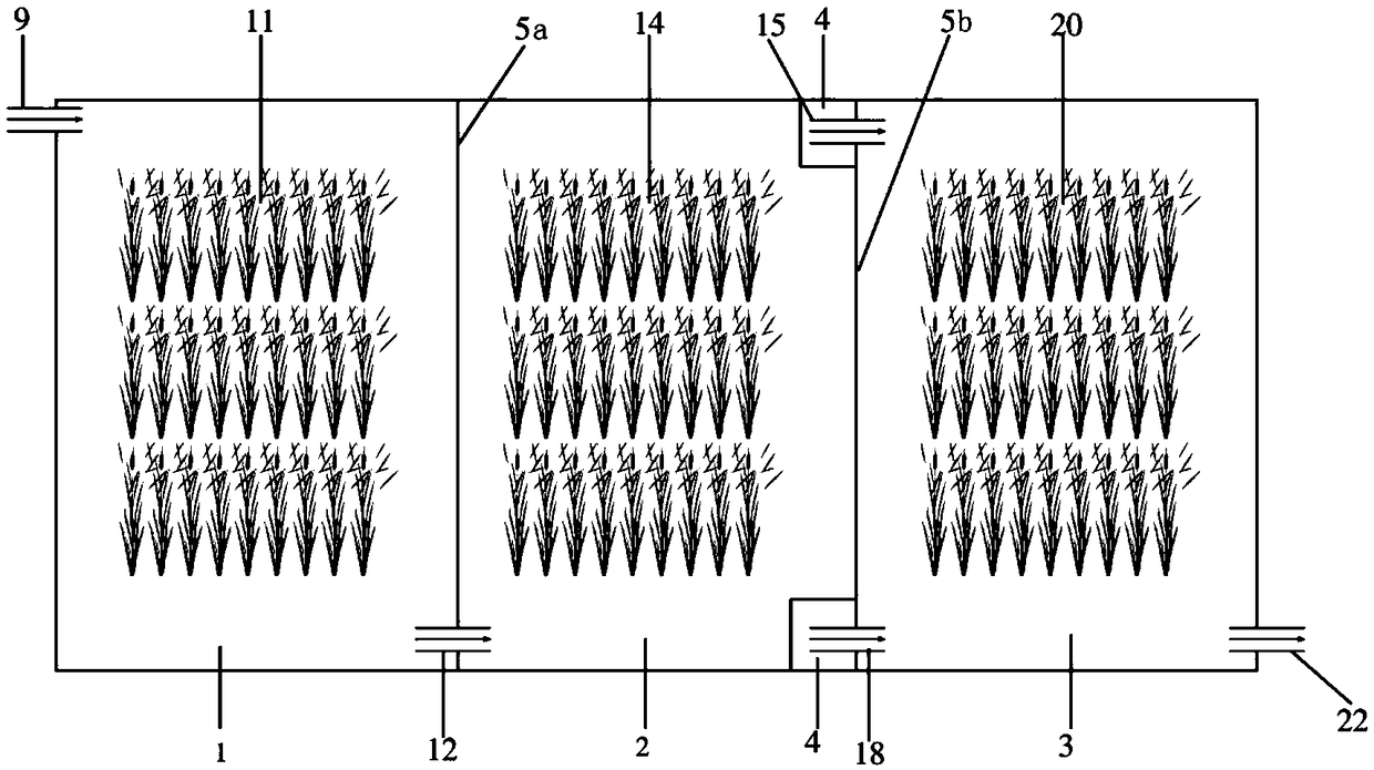 A method and device for purifying ecological ponds of heavy metal polluted irrigation water